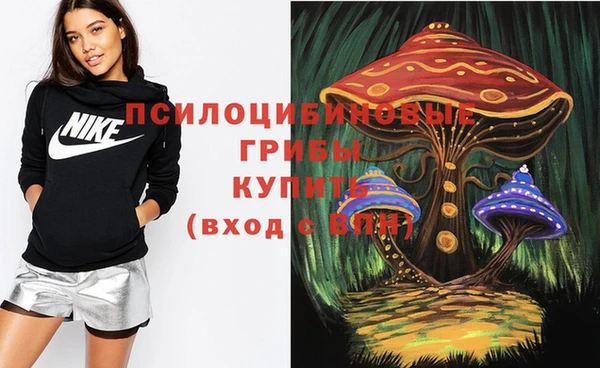 кокаин премиум Богородицк