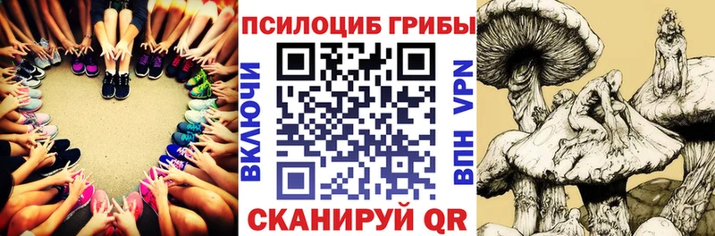 Псилоцибиновые грибы Psilocybe  Богучар 